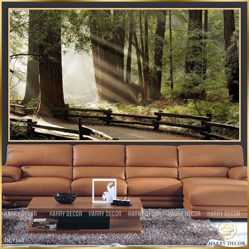  Tranh Nắng Sớm Mang Sương DC7162 