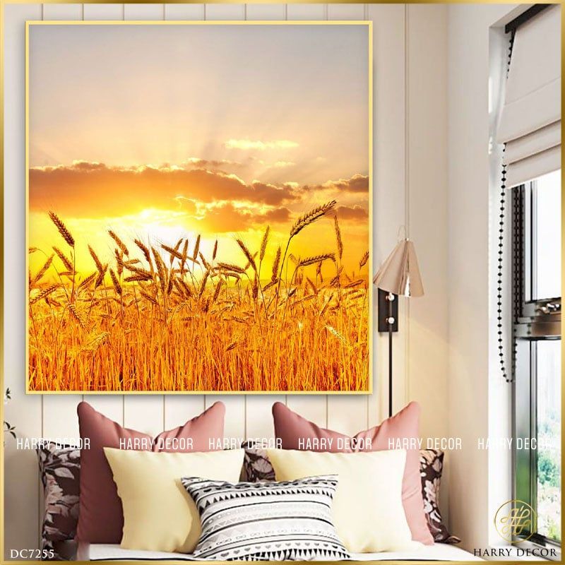  Tranh Vuông Lúa Trổ Vàng DC7255 