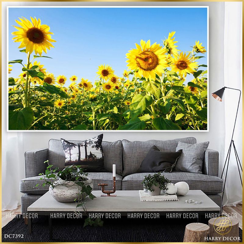  Tranh Bụi Hướng Dương Trong Nắng DC7392 
