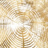  Tranh Vuông Golden Wood Surface 1 CD7TAO11483 