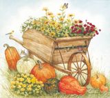  Tranh Winter Squash CSD7TAO11618 