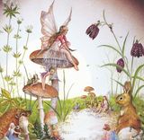  Tranh Vuông Fairies & Animals CSD7TAO11568 