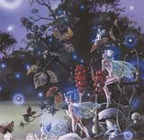  Tranh Vuông Jungle Fairy CSD7TAO11570 