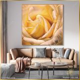  Tranh Vuông Tĩnh Vật Đóa Hồng Nở 9 CSD7TAO11578 