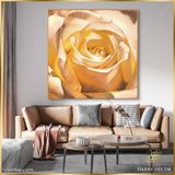  Tranh Vuông Tĩnh Vật Đóa Hồng Nở 10 CSD7TAO11579 