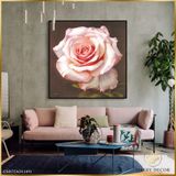  Tranh Vuông Tĩnh Vật Đóa Hồng Nở 1 CSD7TAO11491 