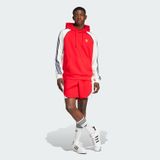 Áo Hoodie Nam SST Colorblock