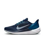 Giày Nike Nam Winflo 9 DD6203-401