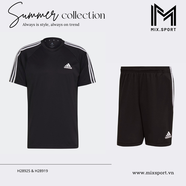  BỘ ĐỒ XUÂN HÈ NAM SERENO 3S 