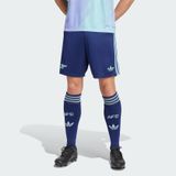 BỘ ĐỒ XUÂN HÈ NAM THI ĐẤU THỨ BA ARSENAL 24/25