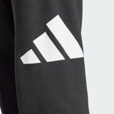 Quần Dài Nam Vải Thun Da Cá Big Logo Essentials