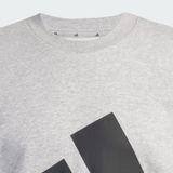 Áo Sweatshirt Nam Vải Thun Da Cá Big Logo Essentials