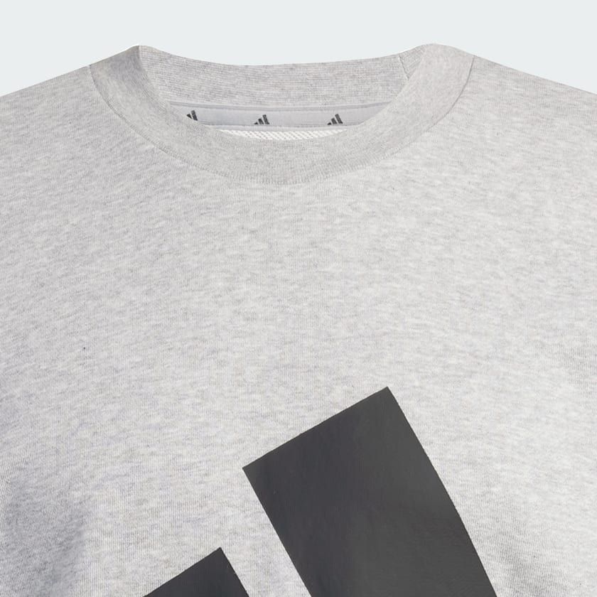 Áo Sweatshirt Nam Vải Thun Da Cá Big Logo Essentials