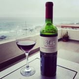 1865 Selected Vineyards Cab Sau 14% 75cl