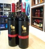 Pudu Cabernet Sauvignon Shiraz 12.5% 75cl (B)