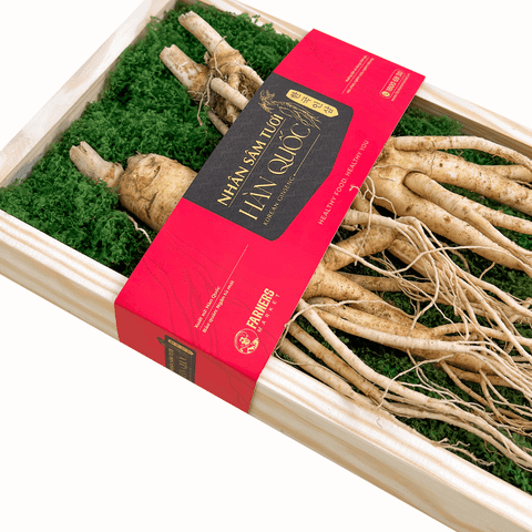  Hộp quà Nhân sâm Hàn Quốc 6 năm tuổi loại 135-155g (2củ) | I0016600 - GIAO NỘI THÀNH TPHCM 