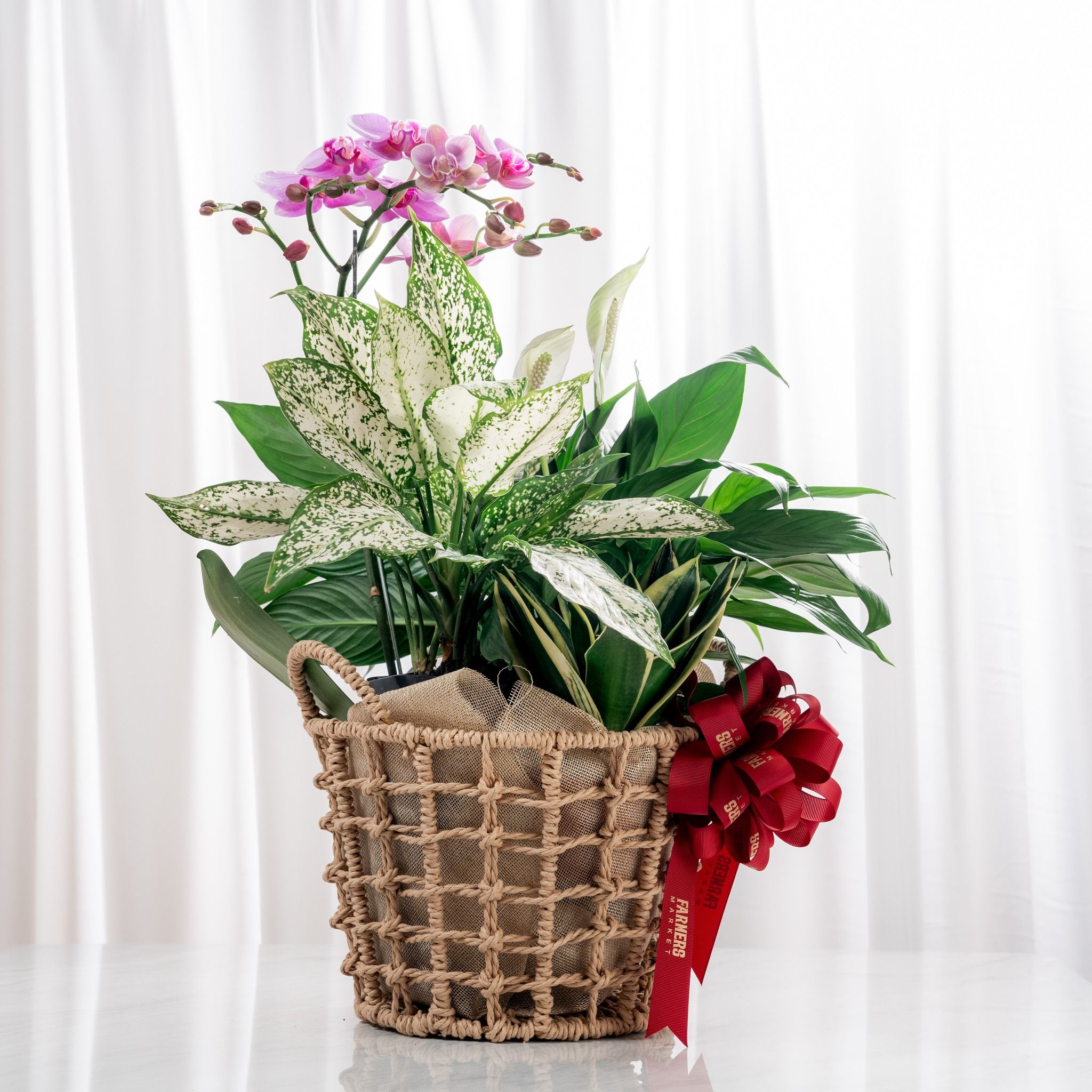 Giỏ quà Cây xanh Tứ Quý Bình An - GIAO NỘI THÀNH TPHCM 