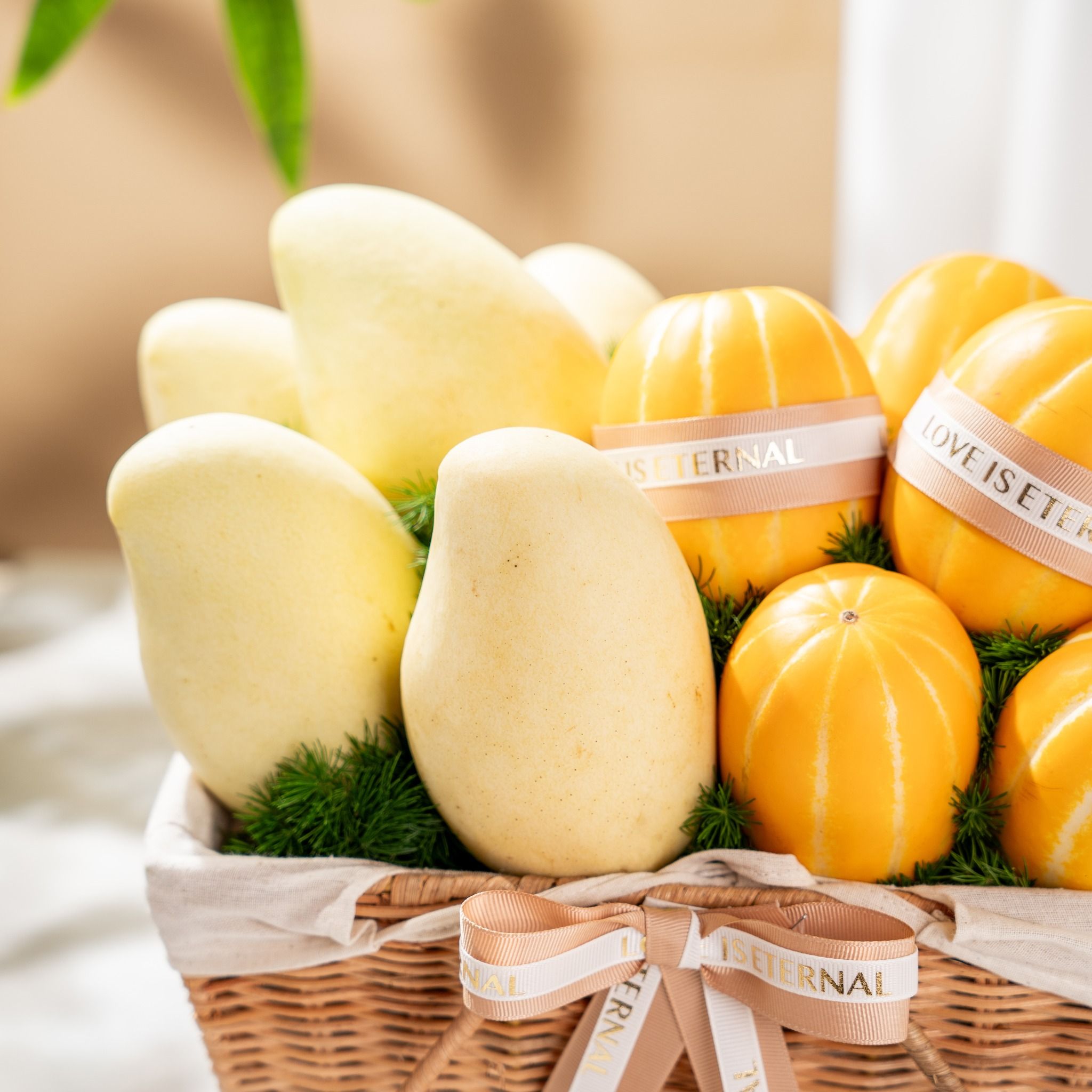  Giỏ Quà Dưa Lê Hàn Quốc và Xoài Cát Chu Thanh Lịch - GIAO NỘI THÀNH TPHCM 
