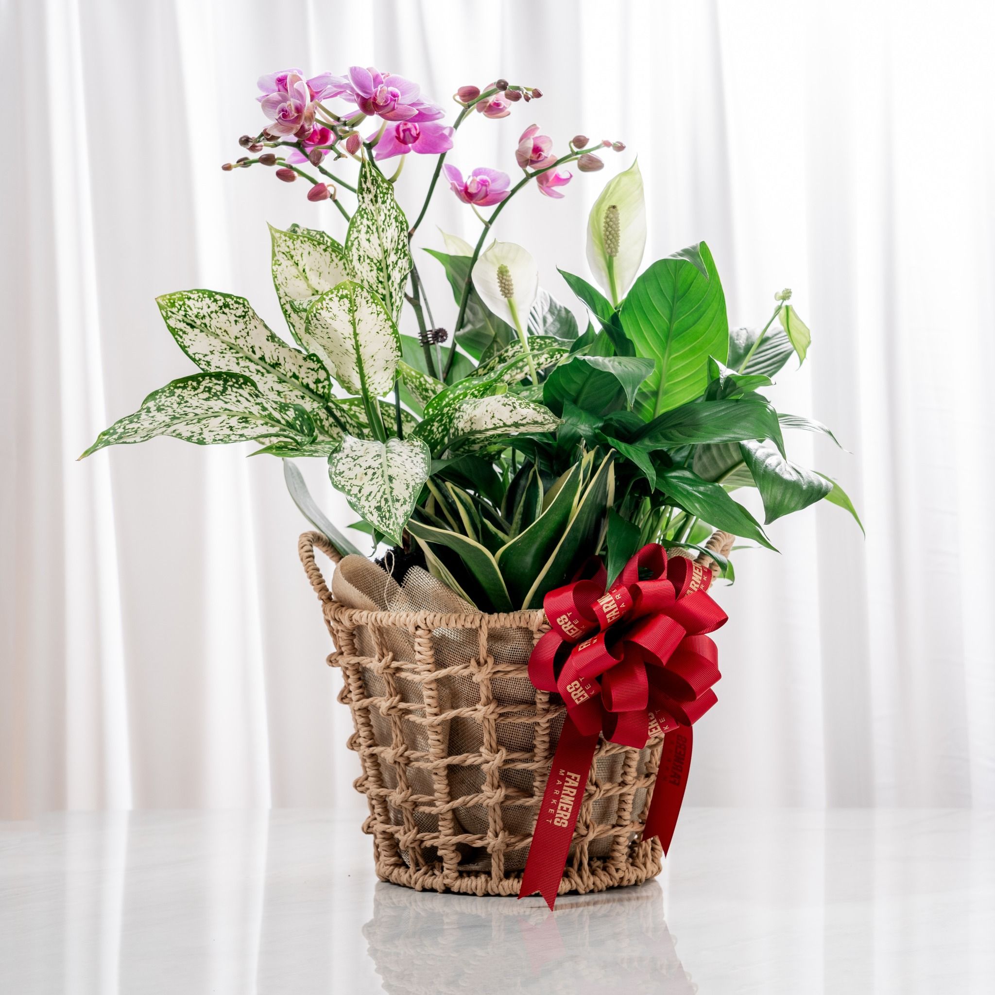  Giỏ quà Cây xanh Tứ Quý Bình An - GIAO NỘI THÀNH TPHCM 
