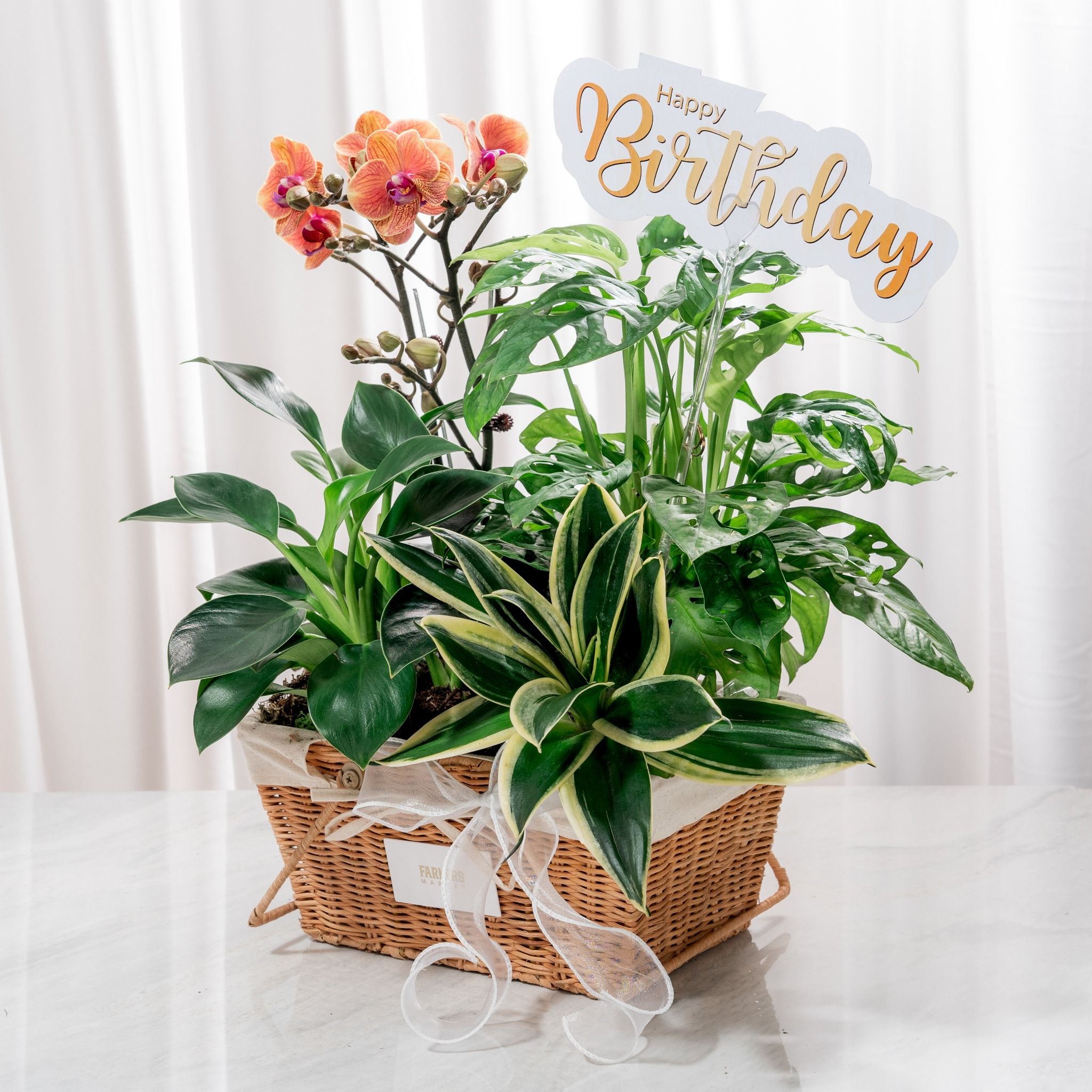  Giỏ Quà Cây Xanh Tứ Quý Vượng Phát - GIAO NỘI THÀNH TPHCM 