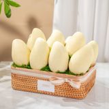  Giỏ Quà Xoài Cát Chu Tiêu Chuẩn - GIAO NỘI THÀNH TPHCM 