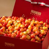  Hộp Quà Cherry Vàng Tone Đỏ Cao Cấp - GIAO HÀNG NỘI THÀNH HCM 