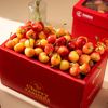 Hộp Quà Cherry Vàng Tone Đỏ Thanh Lịch tại Farmers Market