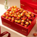  Hộp Quà Cherry Vàng Tone Đỏ Tinh Tế - GIAO HÀNG NỘI THÀNH HCM 