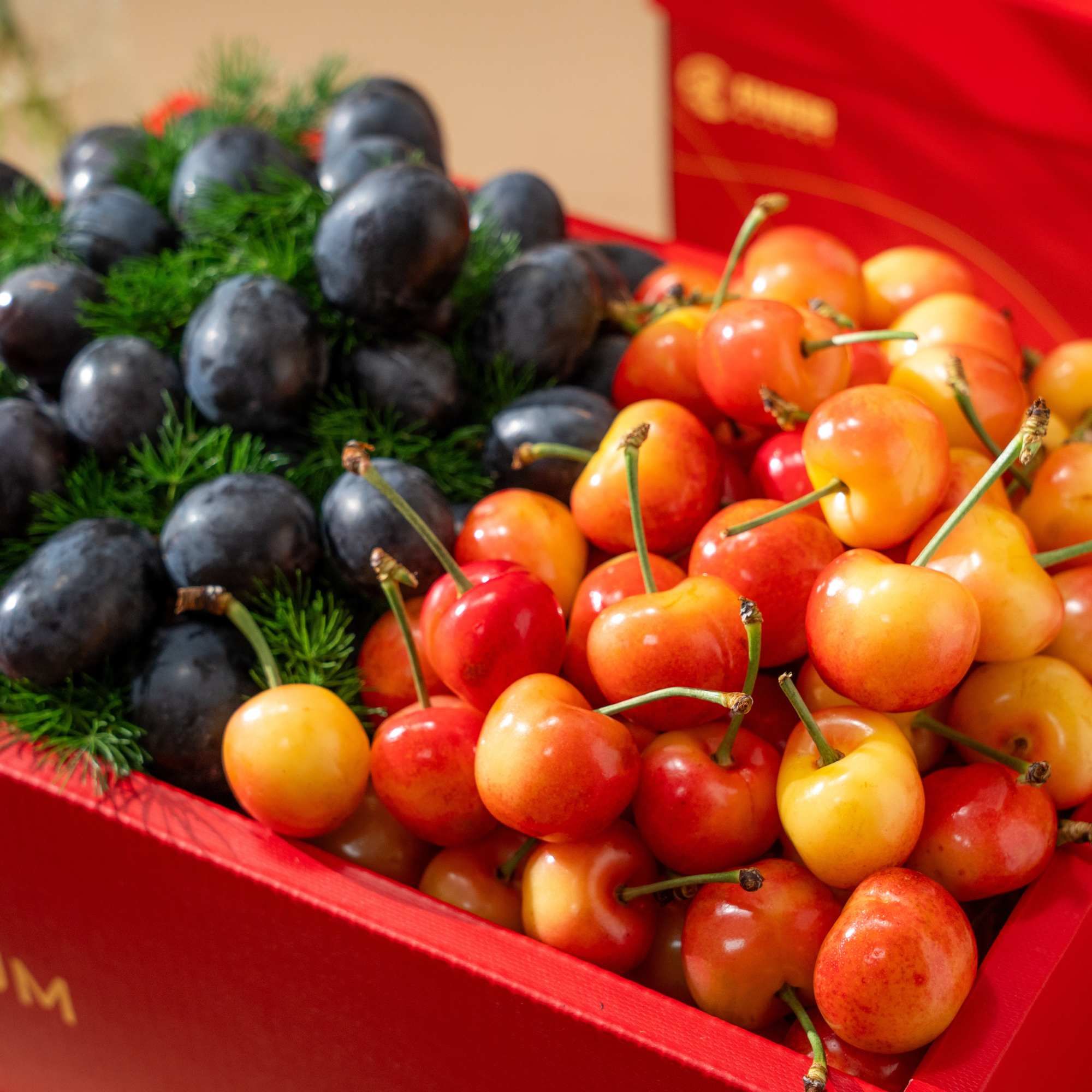 Hộp Quà Cherry Vàng và Nho Đen Tone Đỏ Thanh Lịch - GIAO HÀNG NỘI THÀNH HCM 
