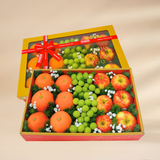  Hộp quà trái cây âm dương đỏ hoạ tiết vàng 2 khay 001 V.03 - GIAO NỘI THÀNH TPHCM 