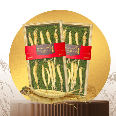  Hộp quà Nhân sâm Hàn Quốc 5 năm tuổi 300g | I0016594 - GIAO NỘI THÀNH TPHCM 
