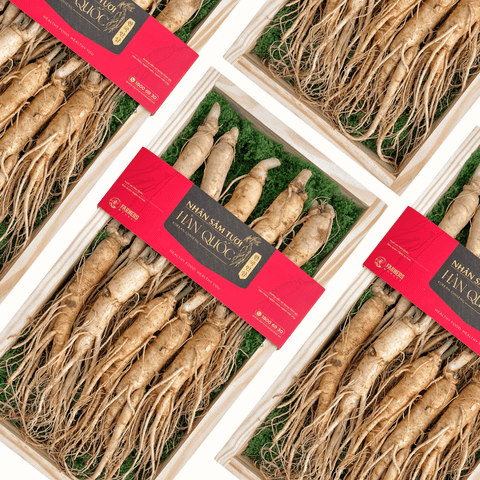  Hộp quà Nhân sâm Hàn Quốc 6 năm tuổi loại 33-55g (11củ) | I0016598  - GIAO NỘI THÀNH TPHCM 