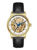 ĐỒNG HỒ BESTDON BD77131G-B03 Nam Máy automatic Dây da Sapphire 5ATM