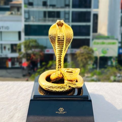 Rắn Vàng An Nhiên
