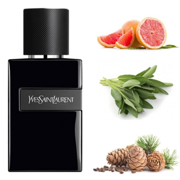 Yves Saint Laurent Y Le Parfum (Le Parfum/100ml)