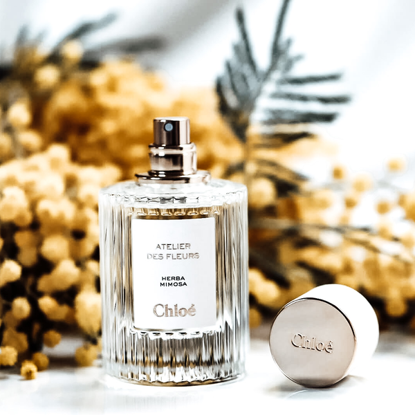 Chloe Atelier Des Fleurs Herba Mimosa (Eau de Parfum/50ml)