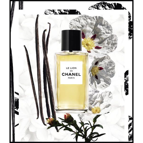Chanel Le Lion de Chanel (75ml / Eau de Parfum)