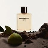 Burberry Hero (Eau de Toilette/100ml Quà Tặng)
