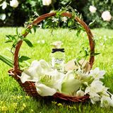 Dolce & Gabbana Dolce (Eau de Parfum/75ml)