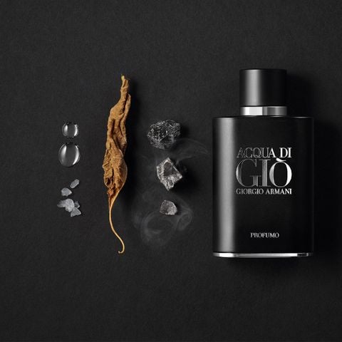 Giorgio Armani Acqua di Gio Profumo (Eau de Parfum/75ml Tester)