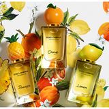 Dolce & Gabbana Orange Eau de Toilette (150ml / Eau de Toilette)