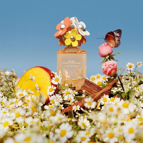 Marc Jacobs Daisy Ever So Fresh (Eau de Parfum/30ml)