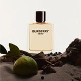 Burberry Hero (Eau de Toilette/100ml)