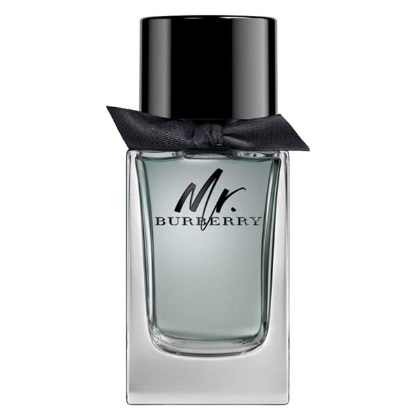 BURBERRY Mr. Burberry Eau de Toilette (Eau de Toilette/100ml)
