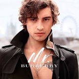 BURBERRY Mr. Burberry Eau de Toilette (Eau de Toilette/100ml)