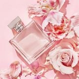 Romance Ralph Lauren (Eau de Parfum/50ml)