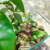 TOUCH (ĐIỂM CHẠM)