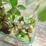 TOUCH (ĐIỂM CHẠM)