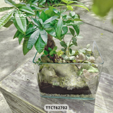 TOUCH (ĐIỂM CHẠM)