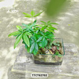 TOUCH (ĐIỂM CHẠM)